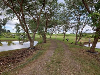 Property 170 Island Plantation Road, Island Plantation QLD 4507 IMAGE 0