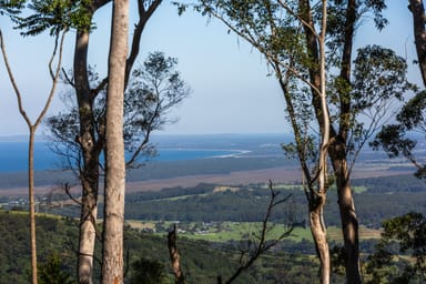 Property 236a Tullouch Road, BROUGHTON VALE NSW 2535 IMAGE 0