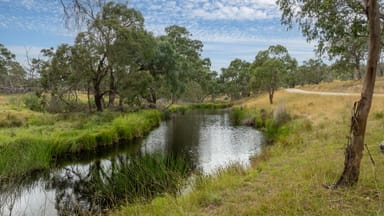 Property 'Dunvegan', 161 Nine Mile Road, DUNDEE NSW 2370 IMAGE 0