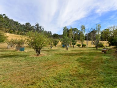 Property 222 Black Hills Road, Black Hills TAS 7140 IMAGE 0