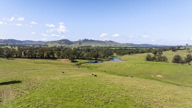 Property Lot 47 Fosterton Road, Dungog NSW 2420 IMAGE 0