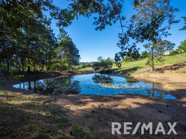 Property 13 Camfin Road, CLEAR MOUNTAIN QLD 4500 IMAGE 0