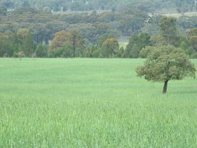 Property 325 Toorawandi Road, Ulamambri NSW 2357 IMAGE 0