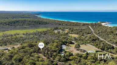 Property 279 Gardens Road, Binalong Bay TAS 7216 IMAGE 0