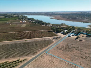 Property 7 The Avenue, Waikerie SA 5330 IMAGE 0