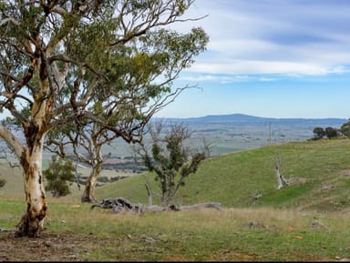 Property 11 Steep Hill Road, Rockleigh SA 5254 IMAGE 0