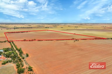 Property Lot 443 Richter Road, Reeves Plains SA 5502 IMAGE 0