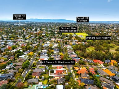 Property 45 Canora Street, Blackburn South VIC 3130 IMAGE 0