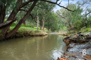 Property 251 Goorangoola Creek Road, Singleton NSW 2330 IMAGE 0
