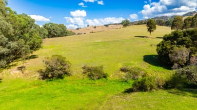 Property . Omeo Highway, Tallangatta VIC 3700 IMAGE 0