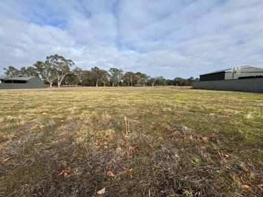 Property Lot 13 Jocelyn Avenue, Charleston SA 5244 IMAGE 0