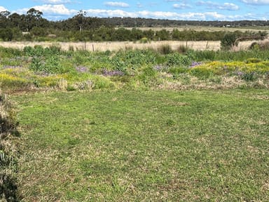 Property Lot 503 William Street, AUBIGNY QLD 4401 IMAGE 0