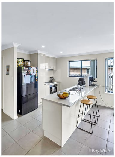 Property 3 Campus Street, Norman Gardens QLD 4701 IMAGE 0