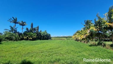 Property 39 McDowall Lane, Lower Daintree QLD 4873 IMAGE 0