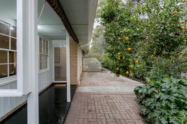 Property 3/18A Princes Road, Torrens Park SA 5062 IMAGE 0