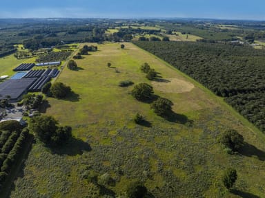 Property Lot 2, 884428/251 Rous Road, ROUS NSW 2477 IMAGE 0