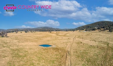 Property 1929 New England Highway, DUNDEE NSW 2370 IMAGE 0