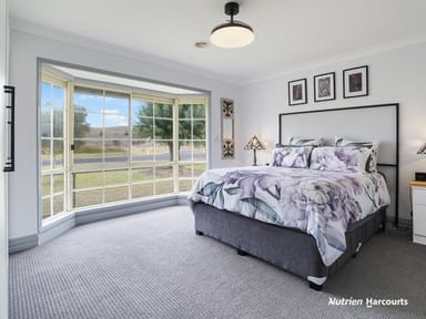 Property 6012 Portland-Casterton Road, SANDFORD VIC 3312 IMAGE 0