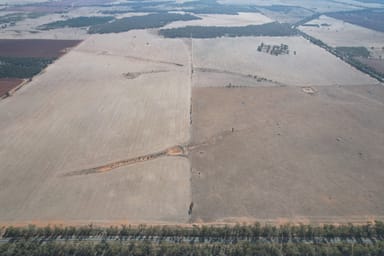 Property 1826 Tallimba Road, WEST WYALONG NSW 2671 IMAGE 0