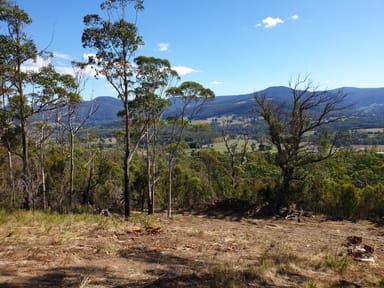 Property Lot 13 Bull Oak Way, GROVE TAS 7109 IMAGE 0