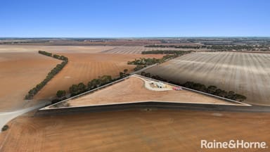 Property 207 Eckert Road, Belvidere SA 5255 IMAGE 0