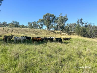 Property 929 Fairford Road, Warialda NSW 2402 IMAGE 0