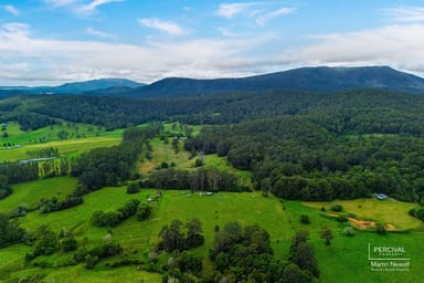 Property Lot 124 Neilson Lane, Lorne NSW 2439 IMAGE 0