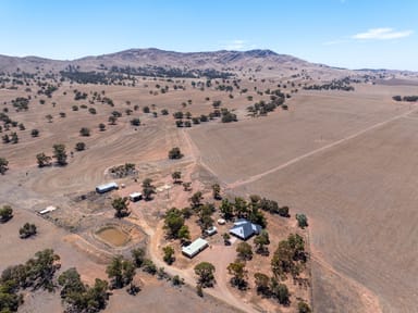 Property Razorback & Kercolo Mount Bryan East Road, Mount Bryan East SA 5419 IMAGE 0