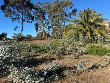 Property 50 Boyce Street, Avoca VIC 3467 IMAGE 0