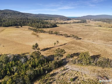 Property Lot 1, Rosedale Road, BICHENO TAS 7215 IMAGE 0