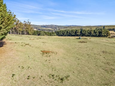 Property 265 Cradle Mountain Road, Wilmot TAS 7310 IMAGE 0