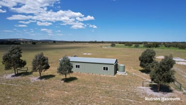 Property 139 Coonabidgee Road, Coonabidgee WA 6503 IMAGE 0