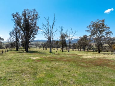 Property 1703 Mutton Falls Road, O'CONNELL NSW 2795 IMAGE 0