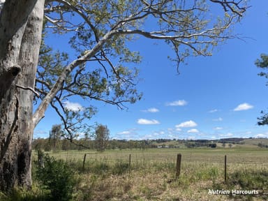 Property Lots 3 & 4 Newtons Road, CASTERTON VIC 3311 IMAGE 0