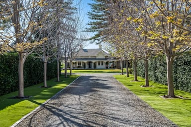 Property 12 The Grove, Lower Mitcham SA 5062 IMAGE 0