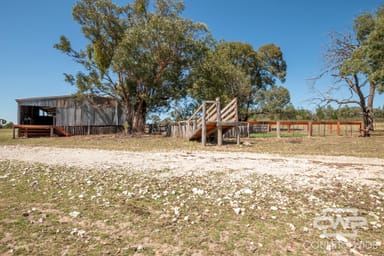 Property 1, - Emmaville Rd, EMMAVILLE NSW 2371 IMAGE 0