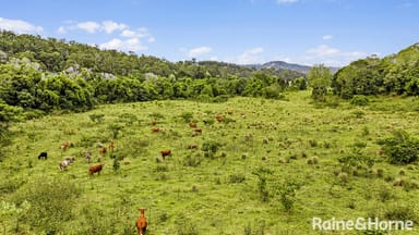 Property 55 Hordern Road, BROOLOO QLD 4570 IMAGE 0