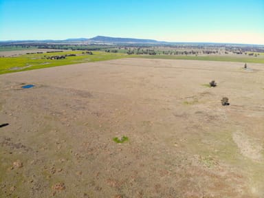 Property 474 Hancock Flinns Road, Piney Range NSW 2810 IMAGE 0