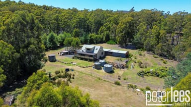 Property 65 Austins Road, Turners Marsh TAS 7267 IMAGE 0