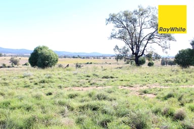 Property Bingara NSW 2404 IMAGE 0