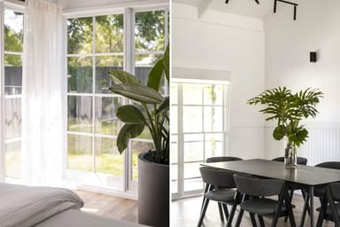 Property 12 Cochrane Street, Broke NSW 2330 IMAGE 0