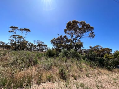 Property Lot 26 Collins Street, TURRIFF VIC 3488 IMAGE 0