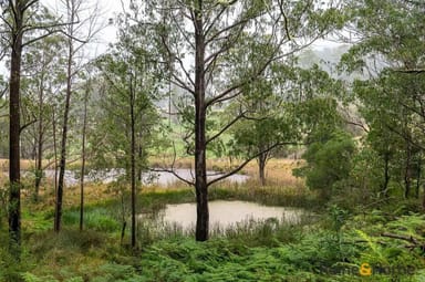 Property 4833 Brackendale Road, Nowendoc NSW 2354 IMAGE 0