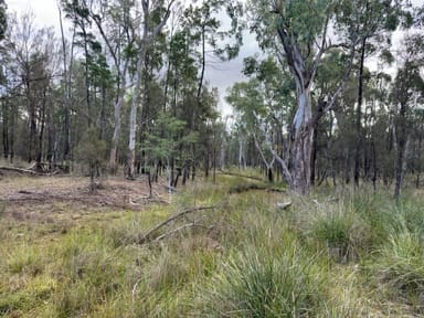 Property Weranga QLD 4405 IMAGE 0