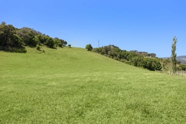 Property Lot 23 Jerrara Road, JERRARA NSW 2533 IMAGE 0