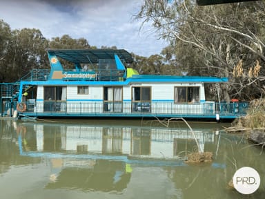 Property "Serendipity" Bruces Bend, Billabong Road, NICHOLS POINT VIC 3501 IMAGE 0