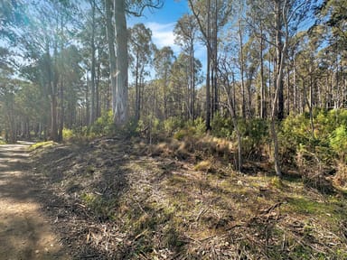 Property Lot 5 Gardiners Creek Road, ST MARYS TAS 7215 IMAGE 0