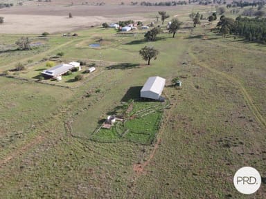 Property 1157 Coonabarabran Road, Mendooran NSW 2842 IMAGE 0