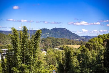 Property 172 Jocelyn Drive, Eumundi QLD 4562 IMAGE 0
