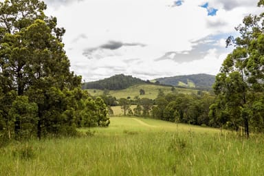 Property Yessabah NSW 2440 IMAGE 0